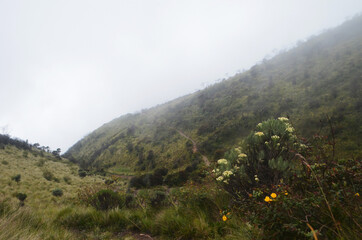 landscape in the mountains