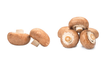Tasty mushroom isolated on white background.