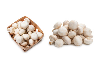 Champignon mushroom isolated on white background.