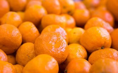 apetitic juicy farm mandarins at market counter