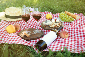 Picnic blanket with delicious food and wine on green grass in park