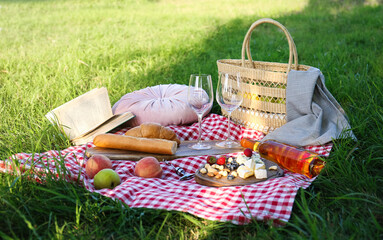 Picnic blanket with delicious food and wine on green grass in park