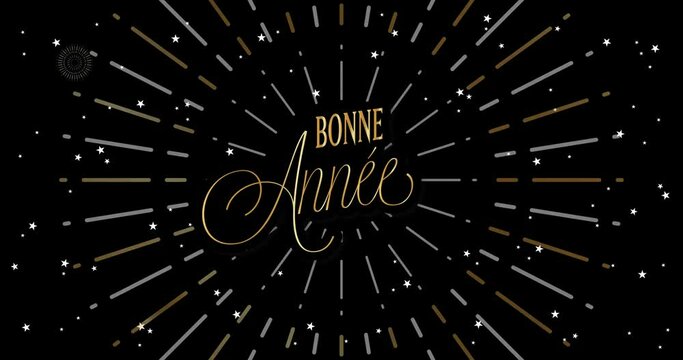 Happy New Year celebration card with fireworks for mailing, web invitation, greeting cards&hellip; animation made in 4K vector design. Black background and french text : BONNE ANNEE