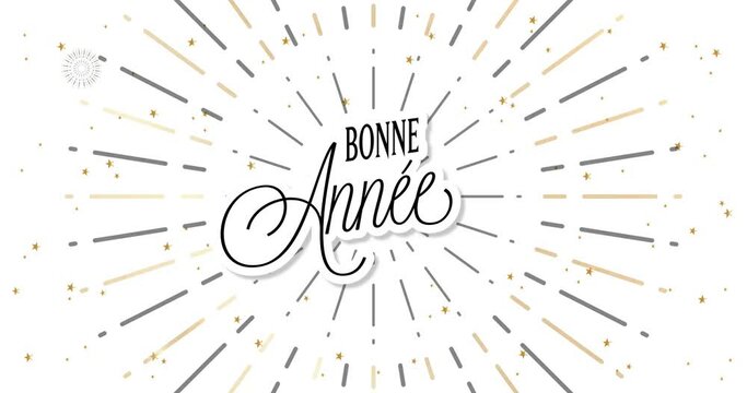 Happy New Year celebration card with fireworks for mailing, web invitation, greeting cards&hellip; animation made in 4K vector design. White background and french text : BONNE ANNEE