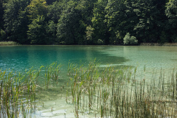 Plitvice lakes national park in Croatia.