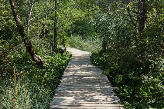 Wooden pathway in Plitvice lakes national park.