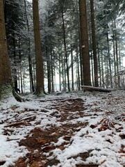 Winterweg