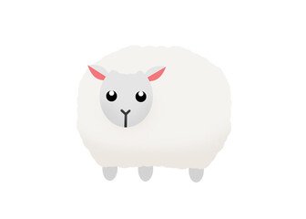 A white innocent sheep