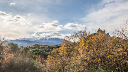 Les Orgues d'Ille sur Têt
