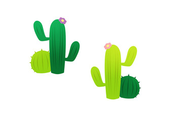A couple of twin cacti with cactus flowers