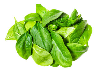 heap of fresh leaves of Spinach leafy vegetable cut out on white background - obrazy, fototapety, plakaty