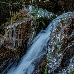 Fototapeta premium Naturaleza congelada en Canencia Sierra de Madrid