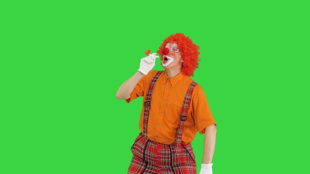 Clown with red nose blowing party horn on a Green Screen, Chroma Key.