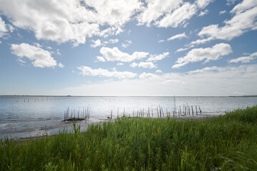 Lagoon 松川浦 Seascape