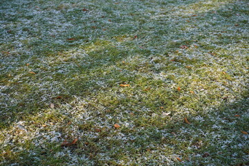 Grüne Grasfläche mit leichter Schneedecke, Sonnenstrahlen und Schatten