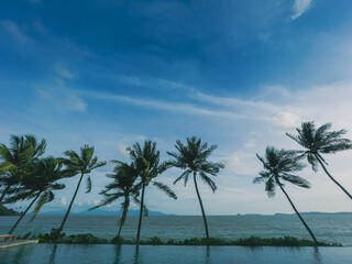 Fototapeta na wymiar Wide angle of row of palms tree at the tropical beach