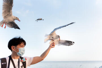 Blurred soft images of Asian man tourist wearing surgical masks are feeding white seagulls, with...