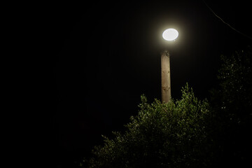 Nazei, Tzoumetka, Epirus, Greece - March 29, 2018: Light over an olive tree