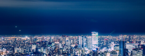 高層ビルが立ち並ぶ都会の夜景