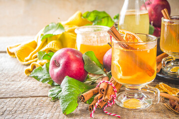 Hot and spicy apple cider