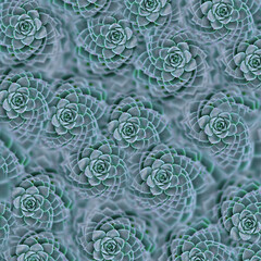 abstract background pattern with blue succulents