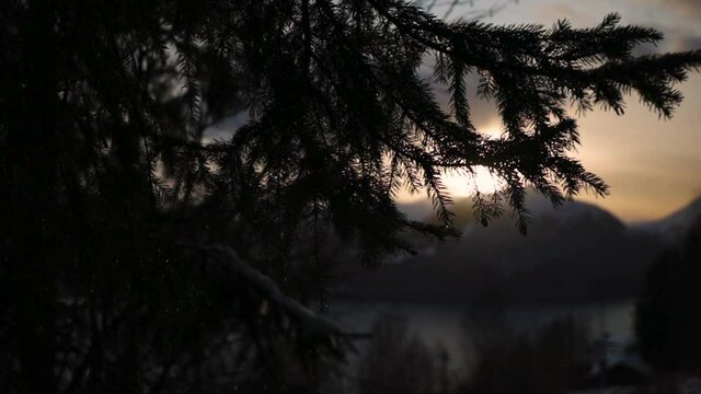 Sun revealed behind a three