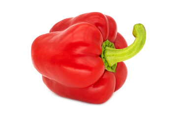 Paprika rot