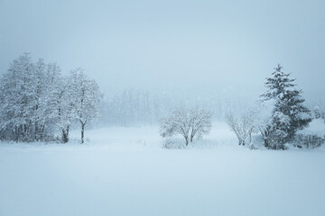 Fototapeta na wymiar Winter Landschaft 