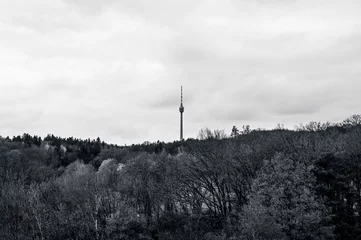 Einfarbiger Blick auf den Wald und den Stuttgarter Fernsehturm bei bewölktem Himmel. © ThePhotoFab