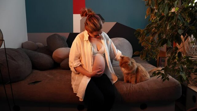 Pregnant woman on third trimester sits on sofa and strokes red cat. Caucasian lady expecting baby relaxes in living room with art interior next to her furred friend. She smiles and caresses her belly.