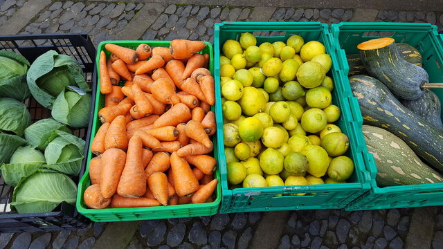 Kisten Mit Zitronen, Möhren, Kohl Und Kürbis Auf Bauernmarkt