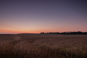 Landschaft im violetten Abendlicht
