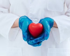 close up. doctor in protective gloves holds the heart .