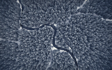Snowy forest with a river from a bird's eye view - Nature in winter - Christmas tree with snow