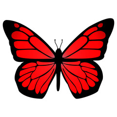 red butterfly isolated on white