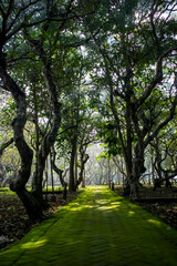 Malang, Indonesia (12-25-2020) - photo of a street in the middle of a tomb in Malang city