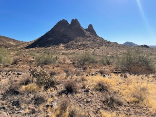 landscape in the desert