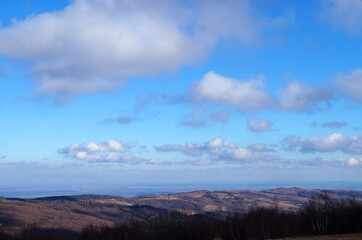 Panoramic view of gray autumn mountains covered with forest with fallen leaves under blue sky with white clouds in autumn day