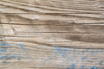 Fototapeta premium Old wood texture