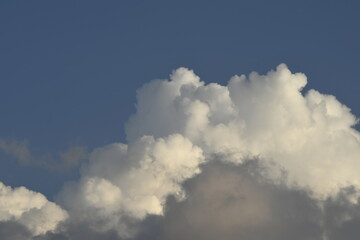 cielo