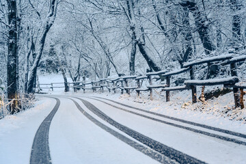 segni, impronte, pneumatici, neve, aderenza, montagna, bosco