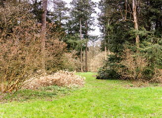 photo merge woods