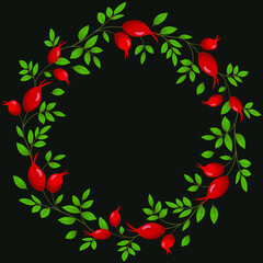 Vector background with rose hips on black background; for greeting cards, invitations, posters, banners.