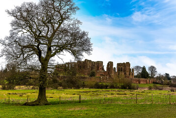 A prominent Oak tree on the meadow of the 