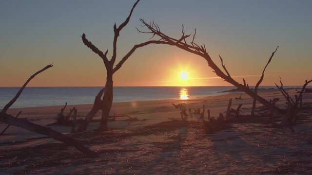 Sunrise on the northern end of folly beach with driftwood forming an arch.