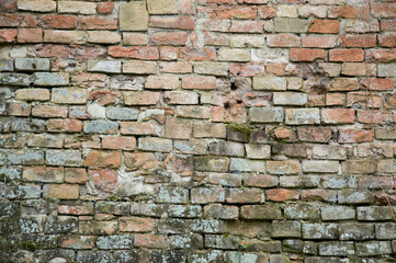 Old brick wall - soaked and damaged