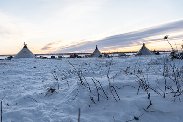 accampamento nenets