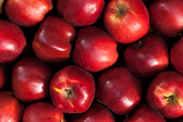 Fototapeta na wymiar Riped raw red apples group