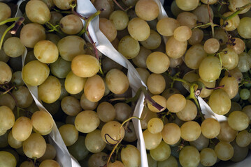 Organic grown white grapes ready for market