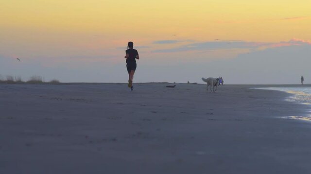 A woman jogs on the beach with her white husky.